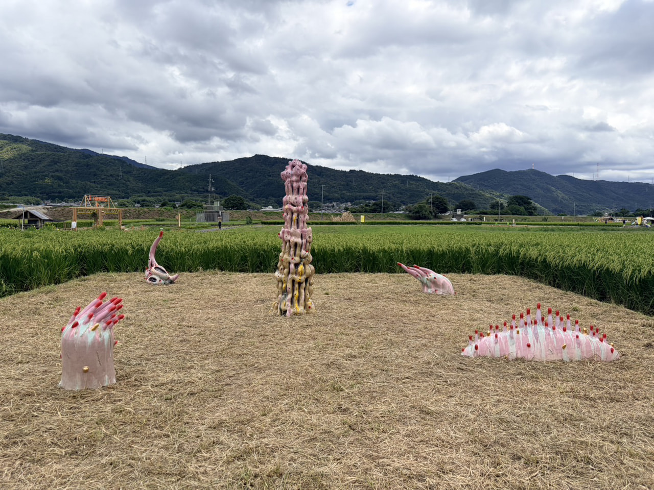 「Art Sprout（アート・スプラウト）」（亀岡市）での西久松友花さんの作品『Web of Life』の展示のお知らせ
